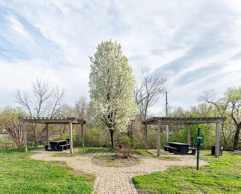 A park with a bench and a tree in the middle.