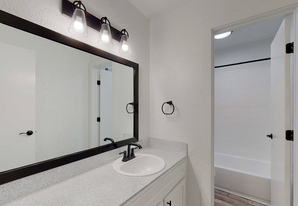 a bathroom with a sink and a mirror and a shower