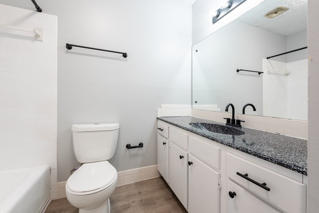 a bathroom with a sink and a toilet