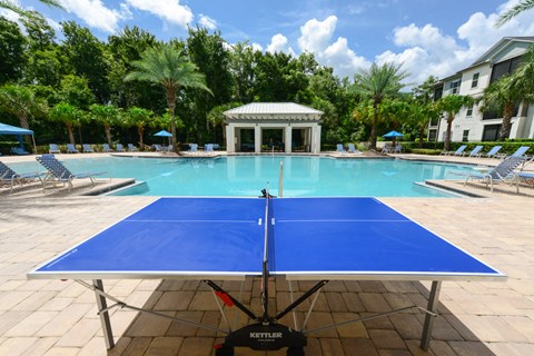 Ping Pong Table at Alaqua, Jacksonville, FL