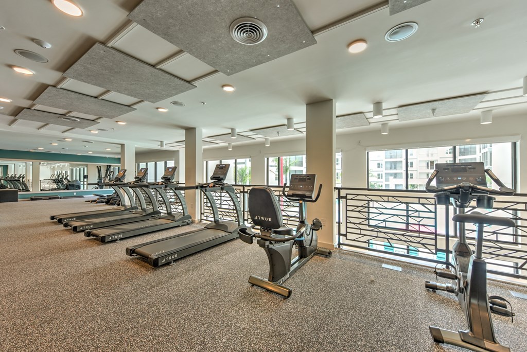a gym with cardio equipment and windows at the heights at Pinnacle Apartments, Jacksonville, FL