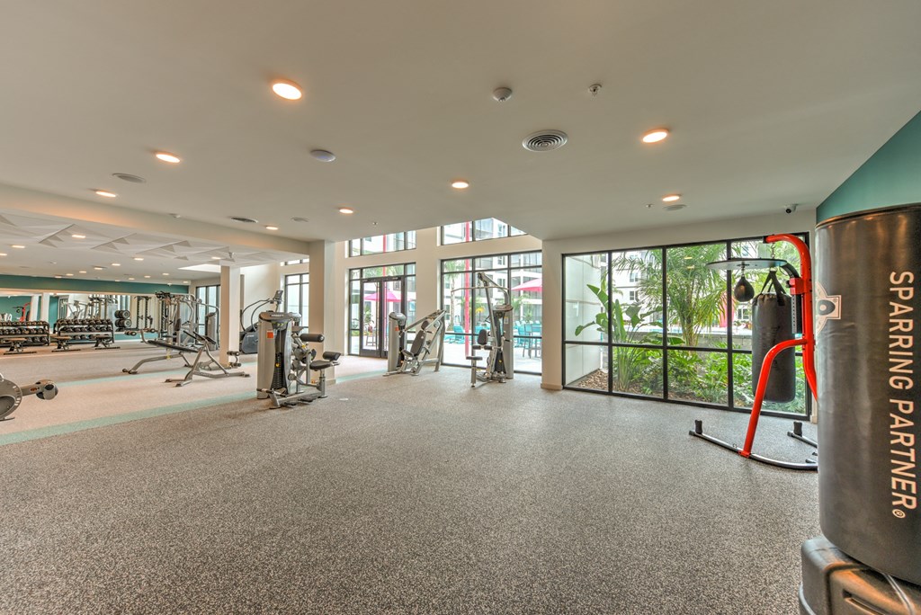 the gym at the preserve at ballantyne commons at Pinnacle Apartments, Jacksonville, FL, 32256
