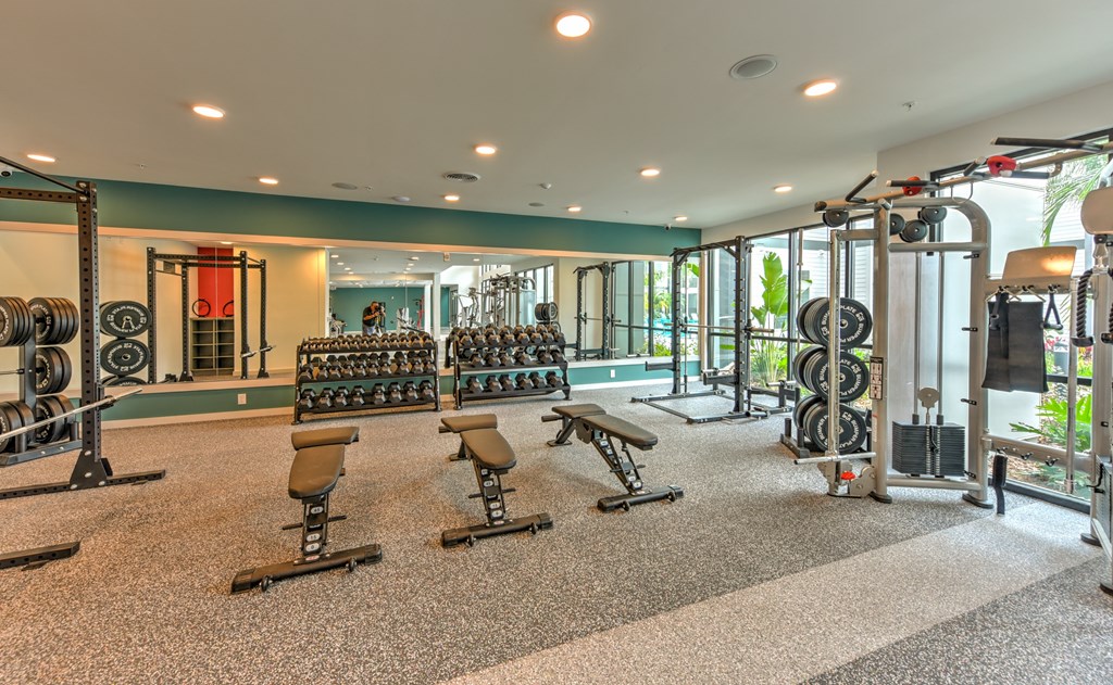 Modern Fitness Center at Pinnacle Apartments, Jacksonville, FL