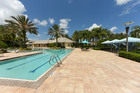 A large outdoor swimming pool surrounded by palm trees at Cabana Club - Galleria Club Apartments, Jacksonville, FL, 32256