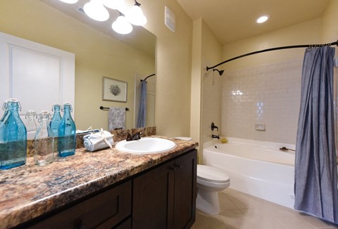 A bathroom with a sink, toilet, and bathtub at Cabana Club - Galleria Club Apartments, Jacksonville, 32256