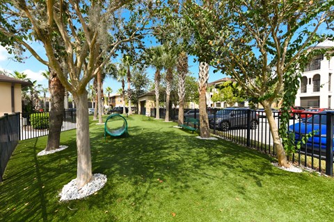 Dog Park at Hacienda Club, Florida