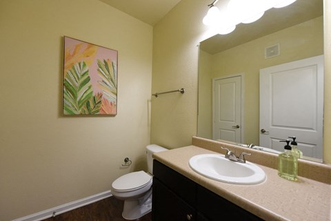 A bathroom with a toilet, sink, mirror, and a painting on the wall at Cabana Club - Galleria Club Apartments, Jacksonville