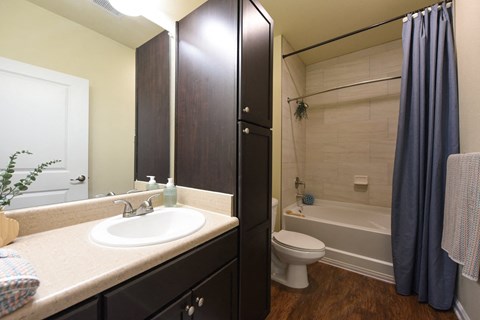 A bathroom with a sink, toilet, and bathtub at Cabana Club - Galleria Club Apartments, Jacksonville, Florida
