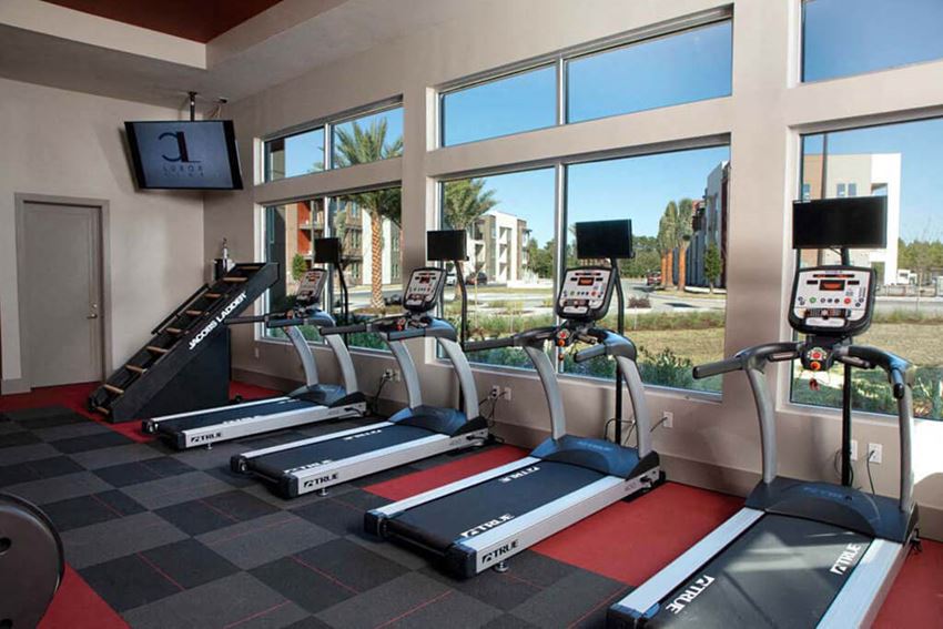 Luxor Club Apartments, 13800 Egrets Nest Dr, Jacksonville, FL RentCafe