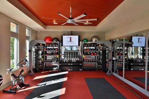 a home gym with a red ceiling and black and white rug  at Luxor Club, Florida
