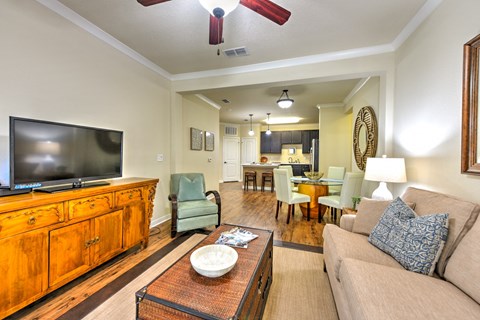 a living room with a couch and a television at Hacienda Club, Florida, 32256
