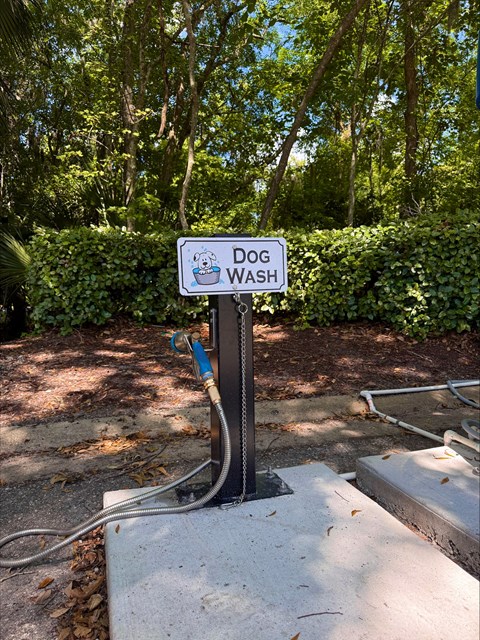 A sign that says Dog Wash is on a pole.