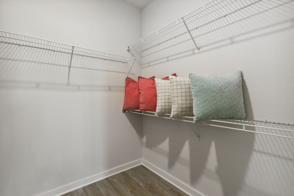 Walk in Closetat Pinnacle Apartments, Jacksonville, FL