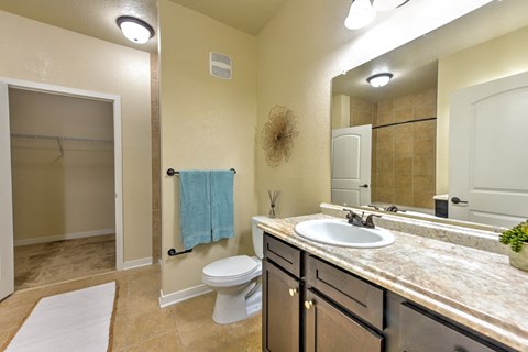 a bathroom with a sink and a toilet and a shower at Hacienda Club, Florida, 32256