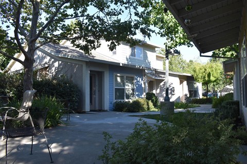 A patio with a chair and a tree in front of a house.