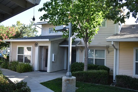 A tree in front of a house.