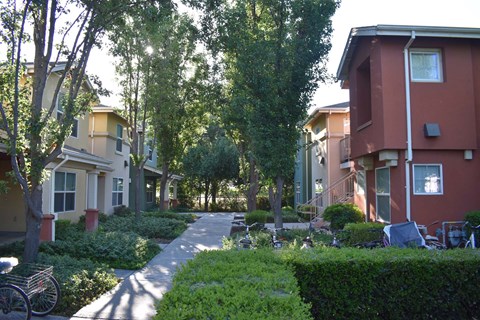 A tree-lined pathway leads to a building.