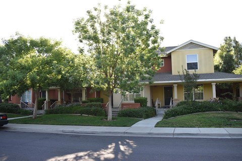A yellow house with a tree in front of it.