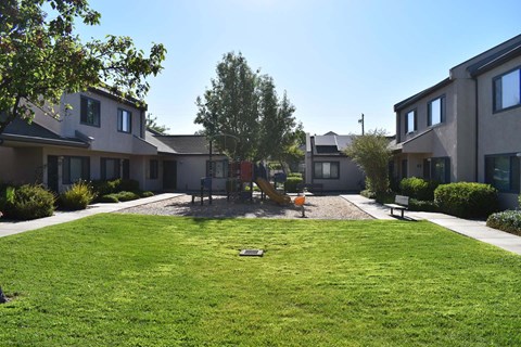 A playground with a slide is surrounded by houses and green grass.