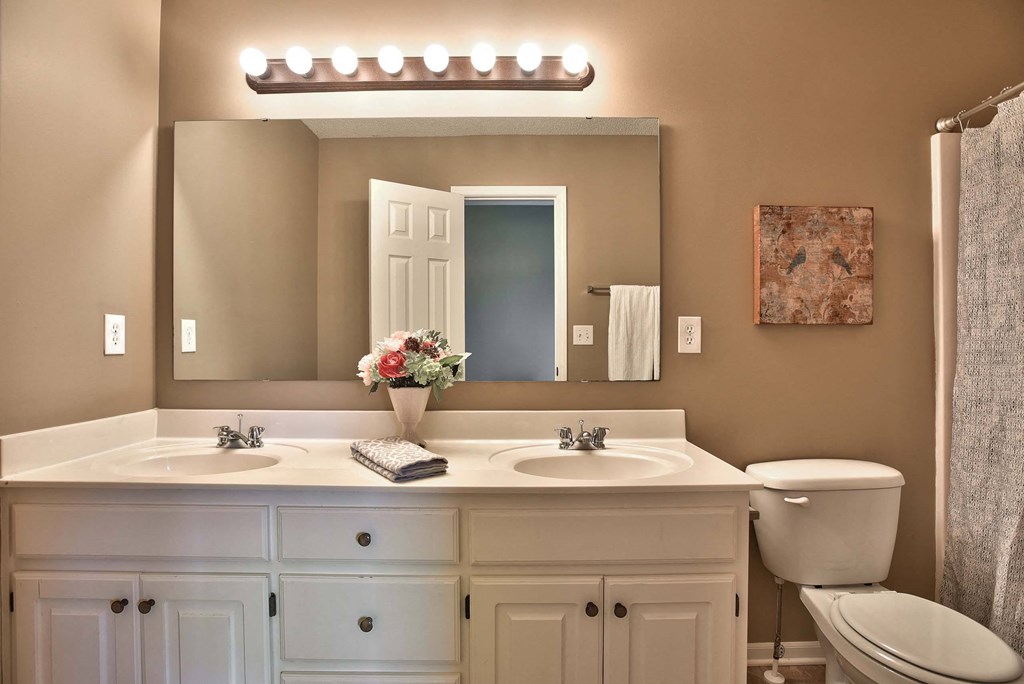 a bathroom with a sink and a mirror and a toilet