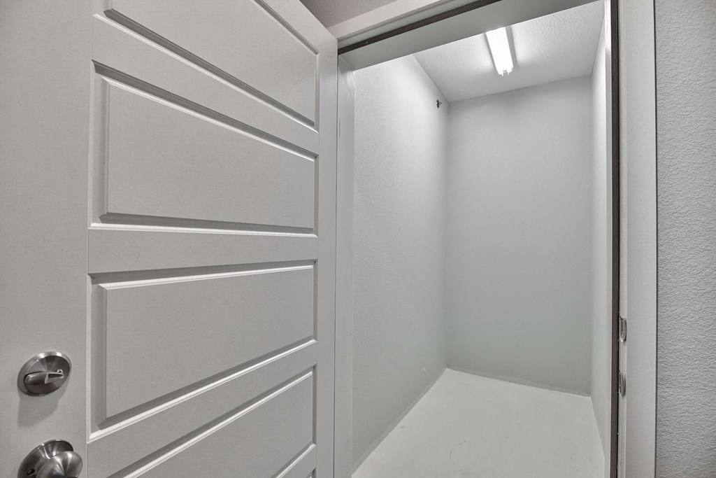 the closet in a bathroom with a white door
