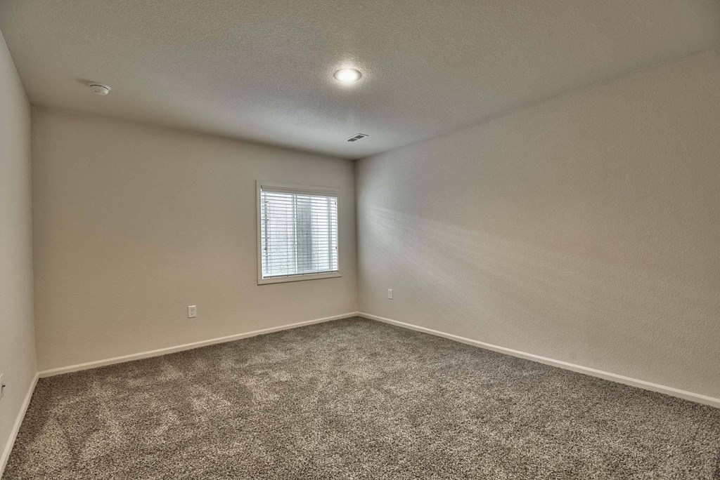 A room with a carpeted floor and a window with blinds.