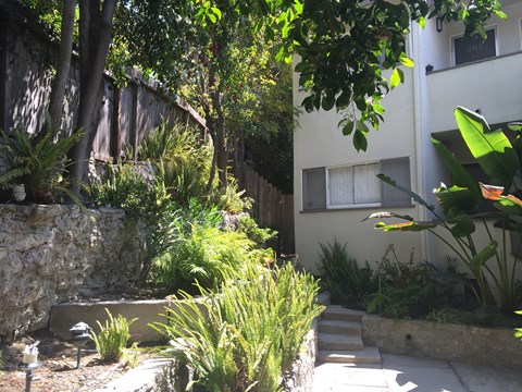 A garden with a stone wall and a variety of plants.
