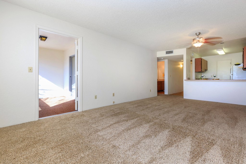 A room with a carpeted floor and a ceiling fan.