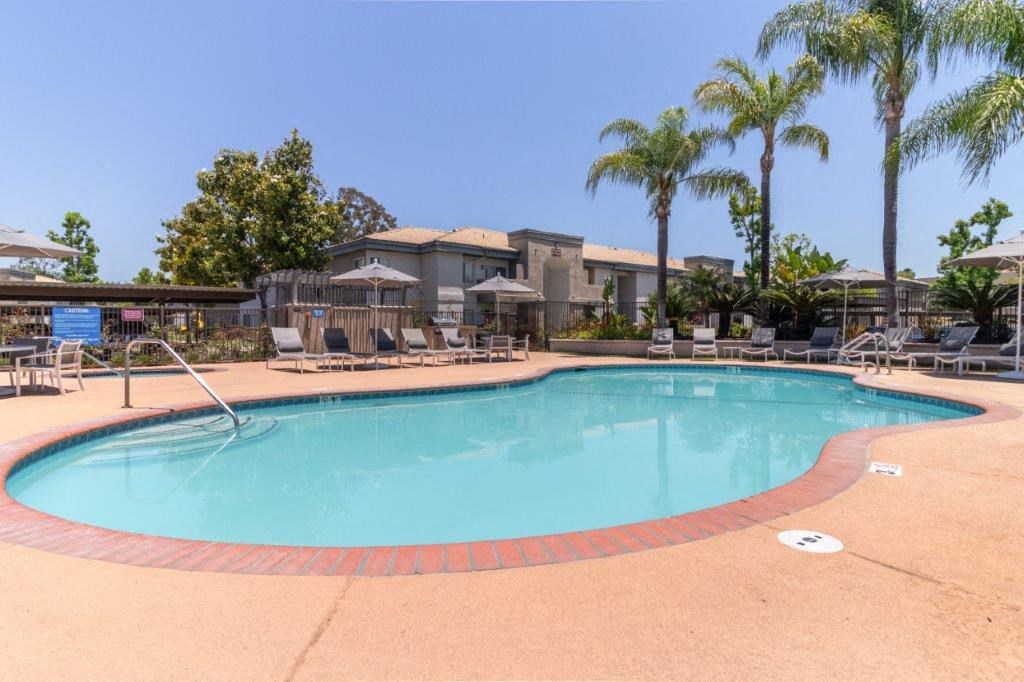 a swimming pool with chairs and palm trees