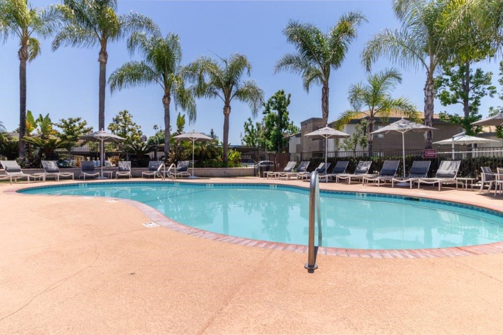 a swimming pool with chairs and palm trees