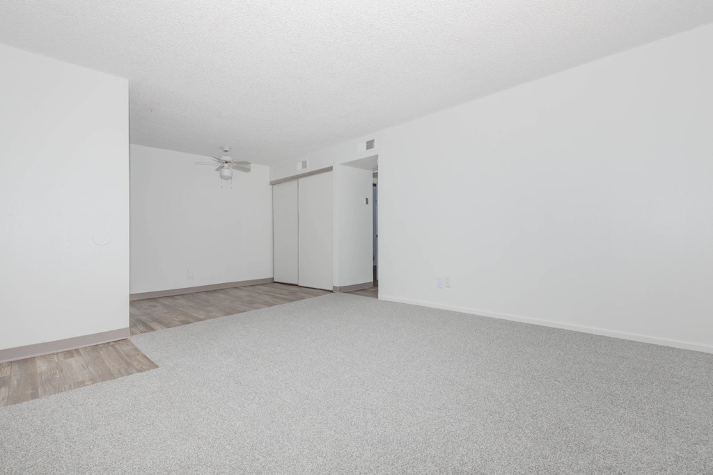 A white room with a carpeted floor and a ceiling fan.