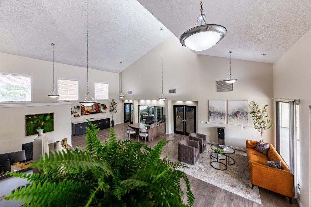 a room with a bunch of ferns on the walls