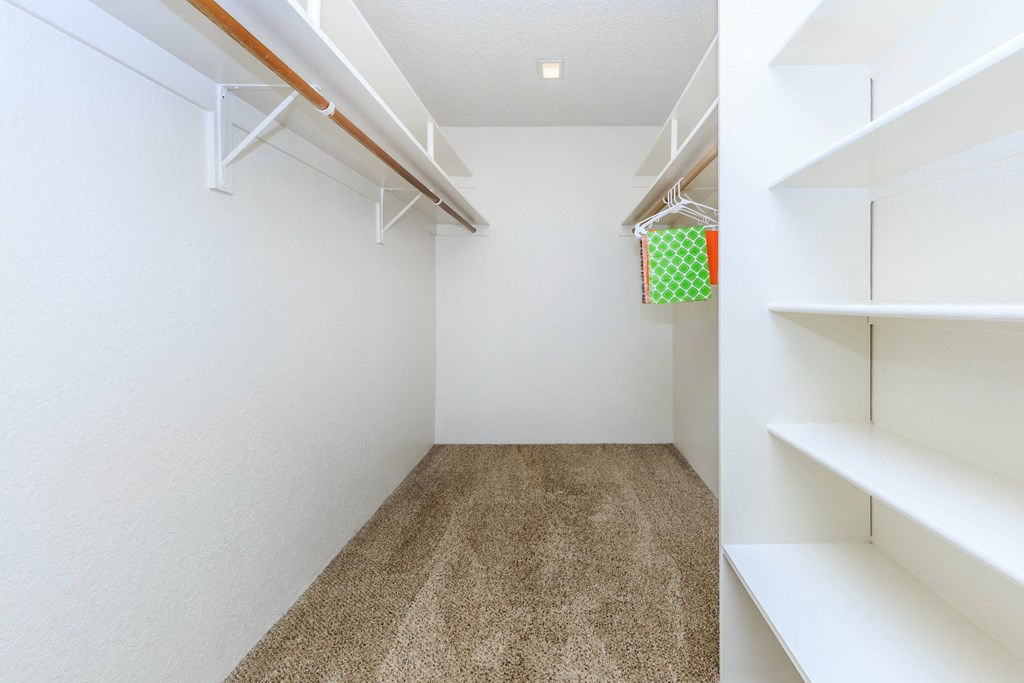 A white room with a carpeted floor and white shelves on the wall.