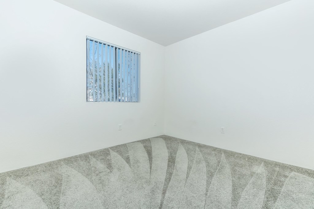 A room with a window and a grey carpet.