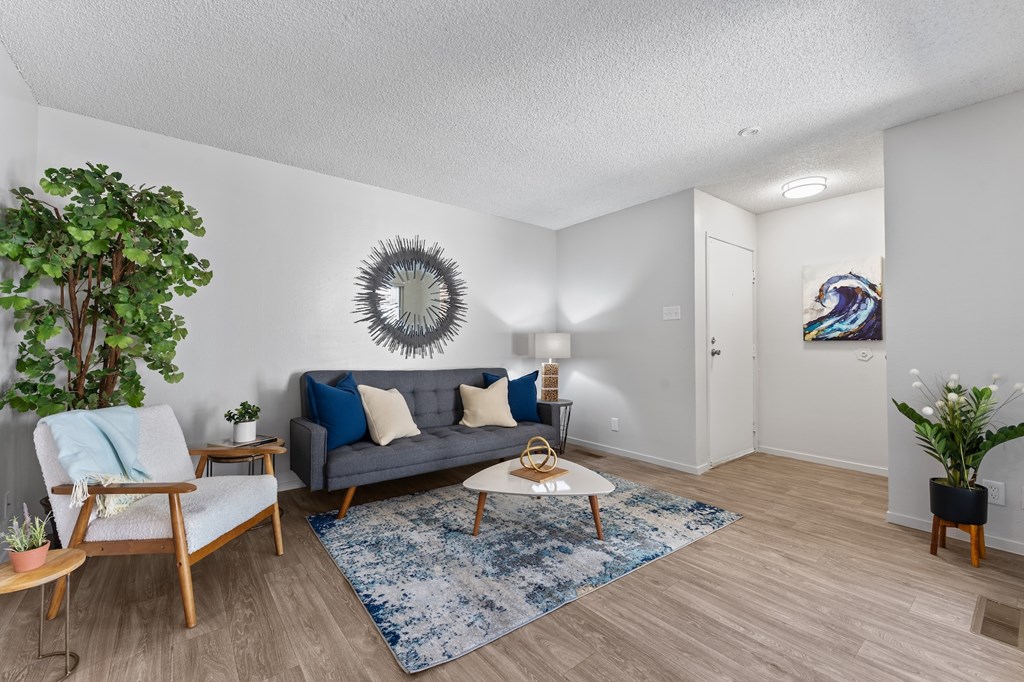 A living room with a grey couch and a blue rug.