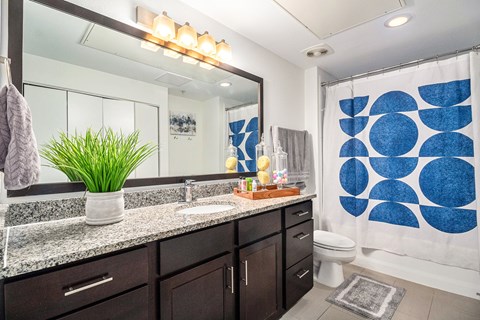 A bathroom with a sink, mirror, and shower curtain.