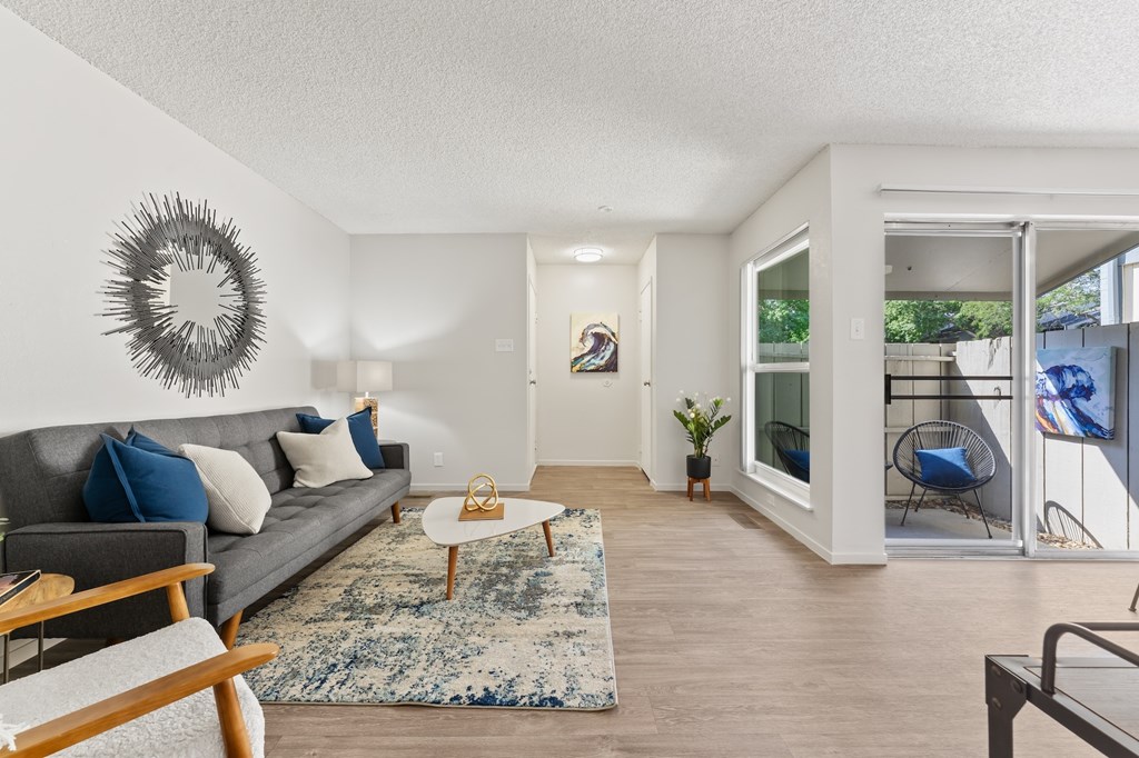 A living room with a grey couch and a blue rug.