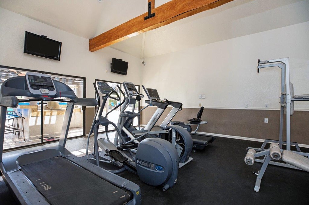 A gym with treadmills, exercise bikes, and a television.