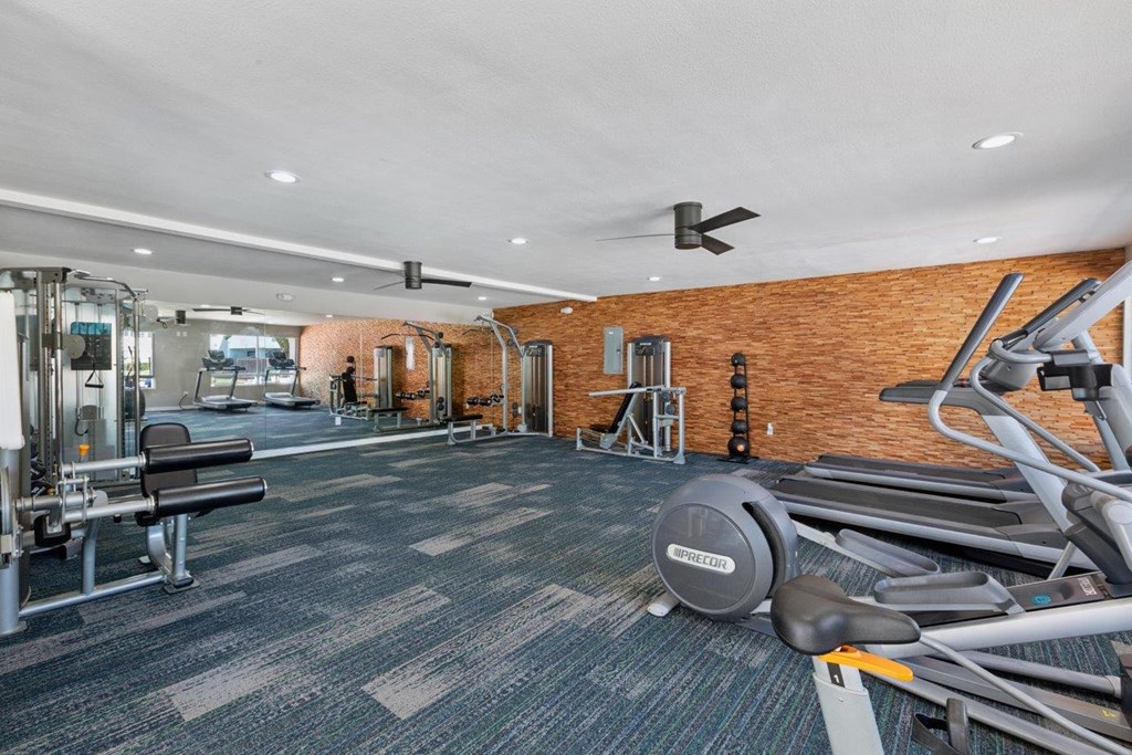 A gym with a variety of equipment including treadmills, weights, and exercise machines.