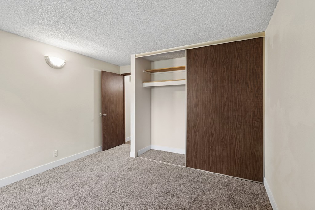 A room with a brown door and a brown wardrobe.