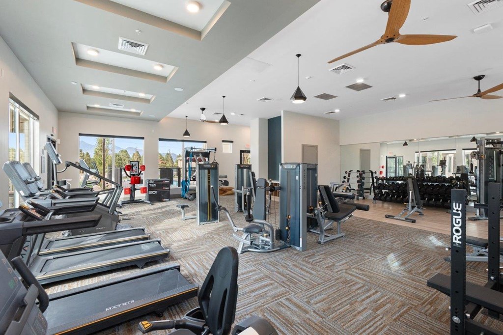 the gym is equipped with cardio equipment and weights