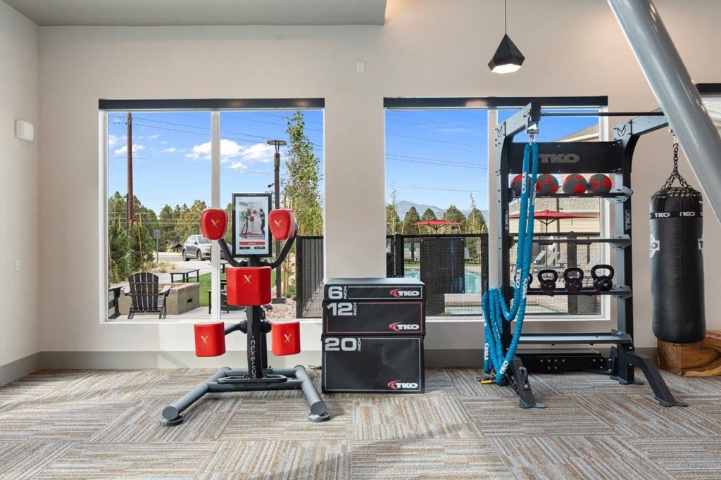 a home gym with weights and a punching bag on the floor