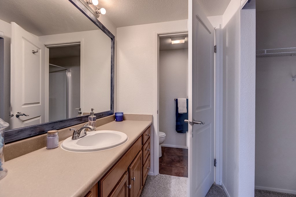 12 Central Square Bathroom Closet