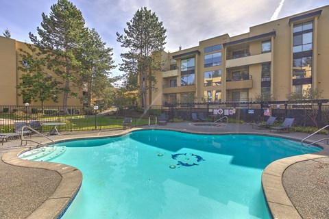 12 Central Square Pool