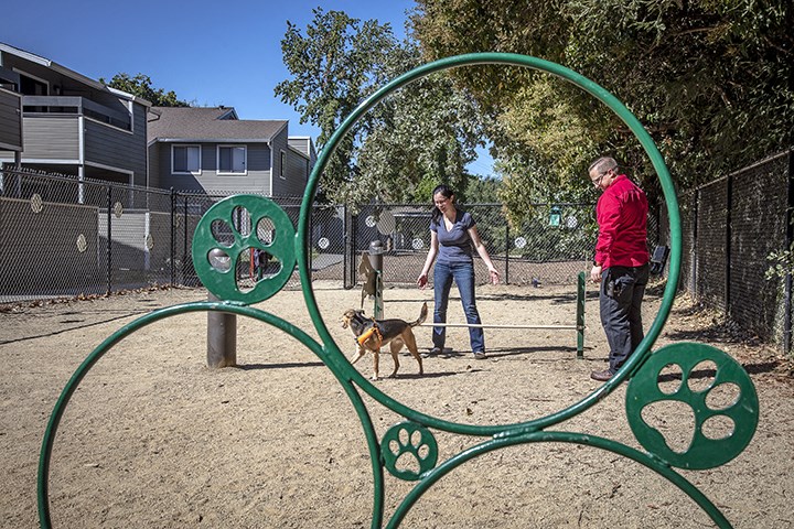 The Alexandar Apartments Dog Park
