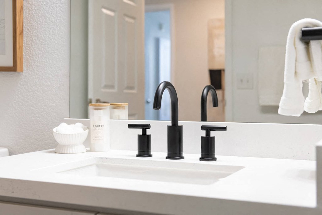 a bathroom with a sink and a mirror
