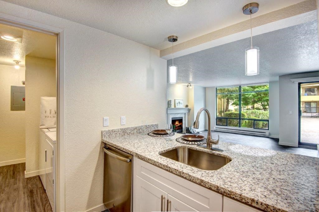 12 Central Square Kitchen Sink and Dishwasher