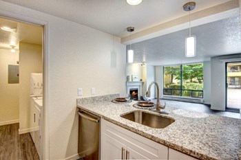 12 Central Square Kitchen Sink and Dishwasher - Photo Gallery 30