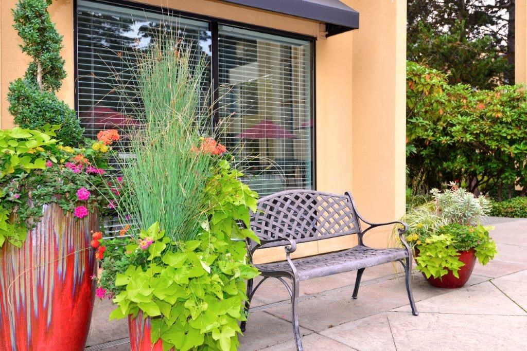 12 Central Square Bench with plants in decorative vases