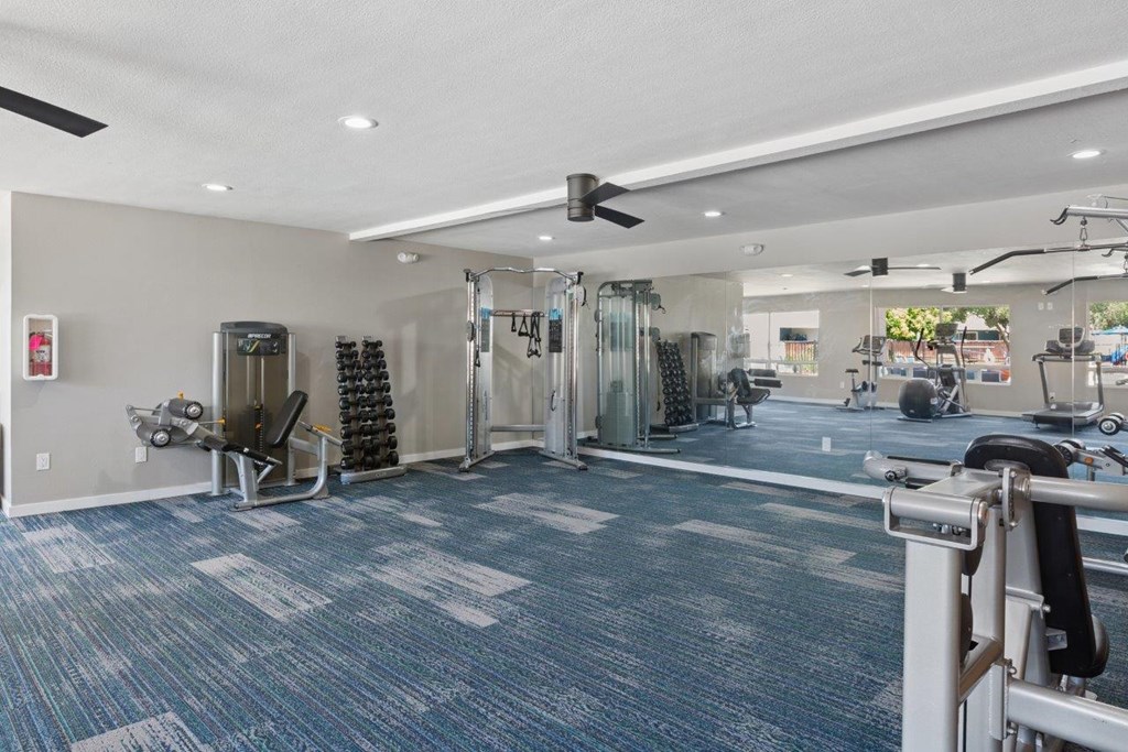 A gym with a variety of equipment including a treadmill, weights, and a bench press.